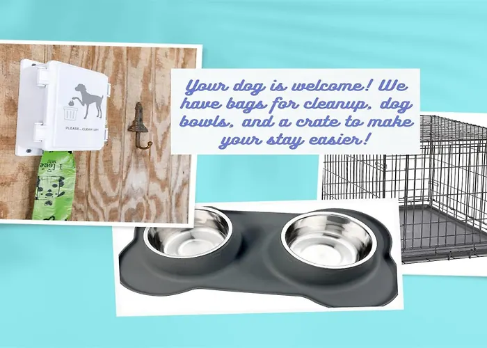 The Blue Mermaid Walk To Beach! Dog Friendly Heated Pool Fire Pit 2kingste Holiday home Gulf Shores